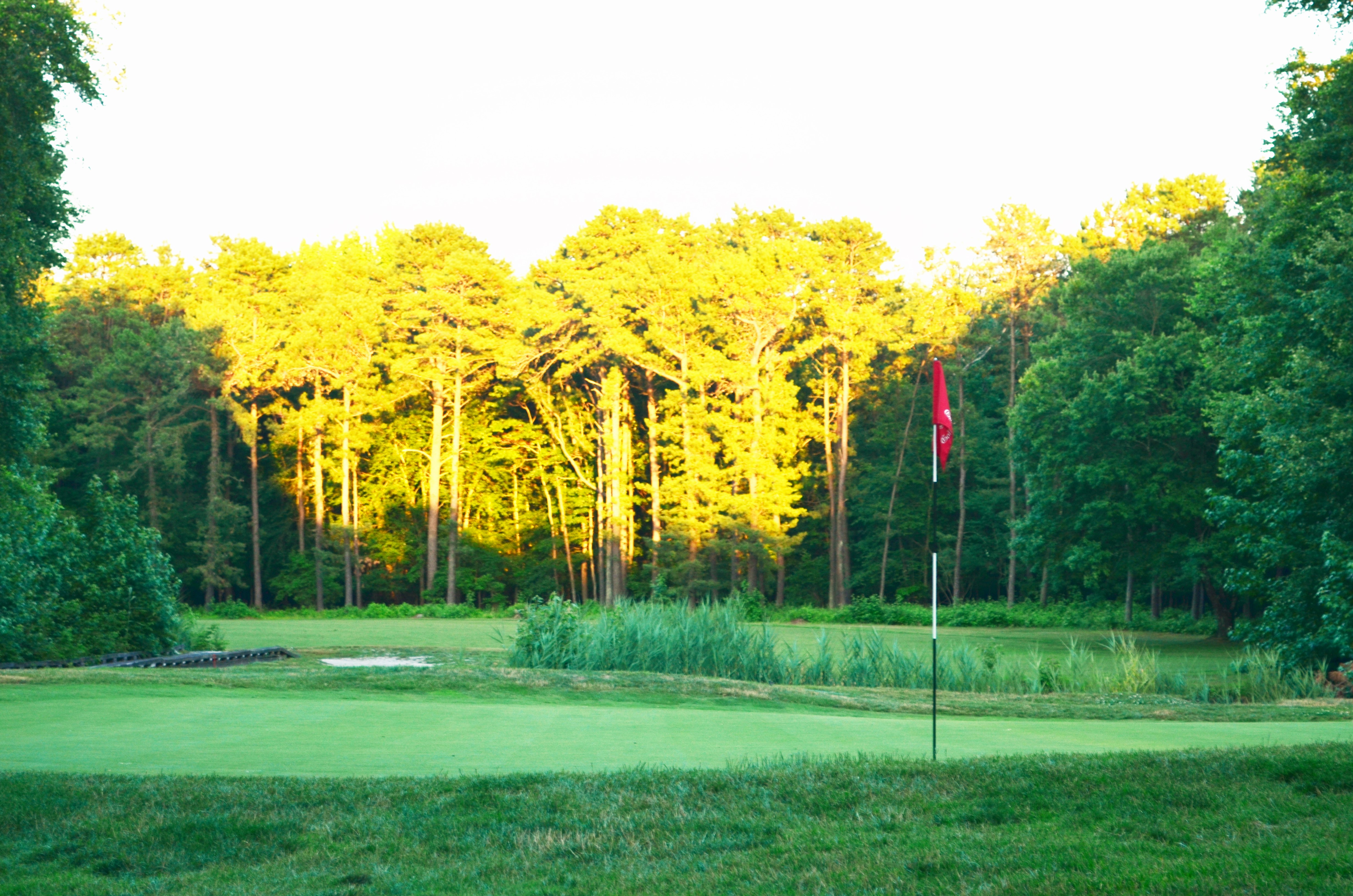 Course Photos The Links Golf Club