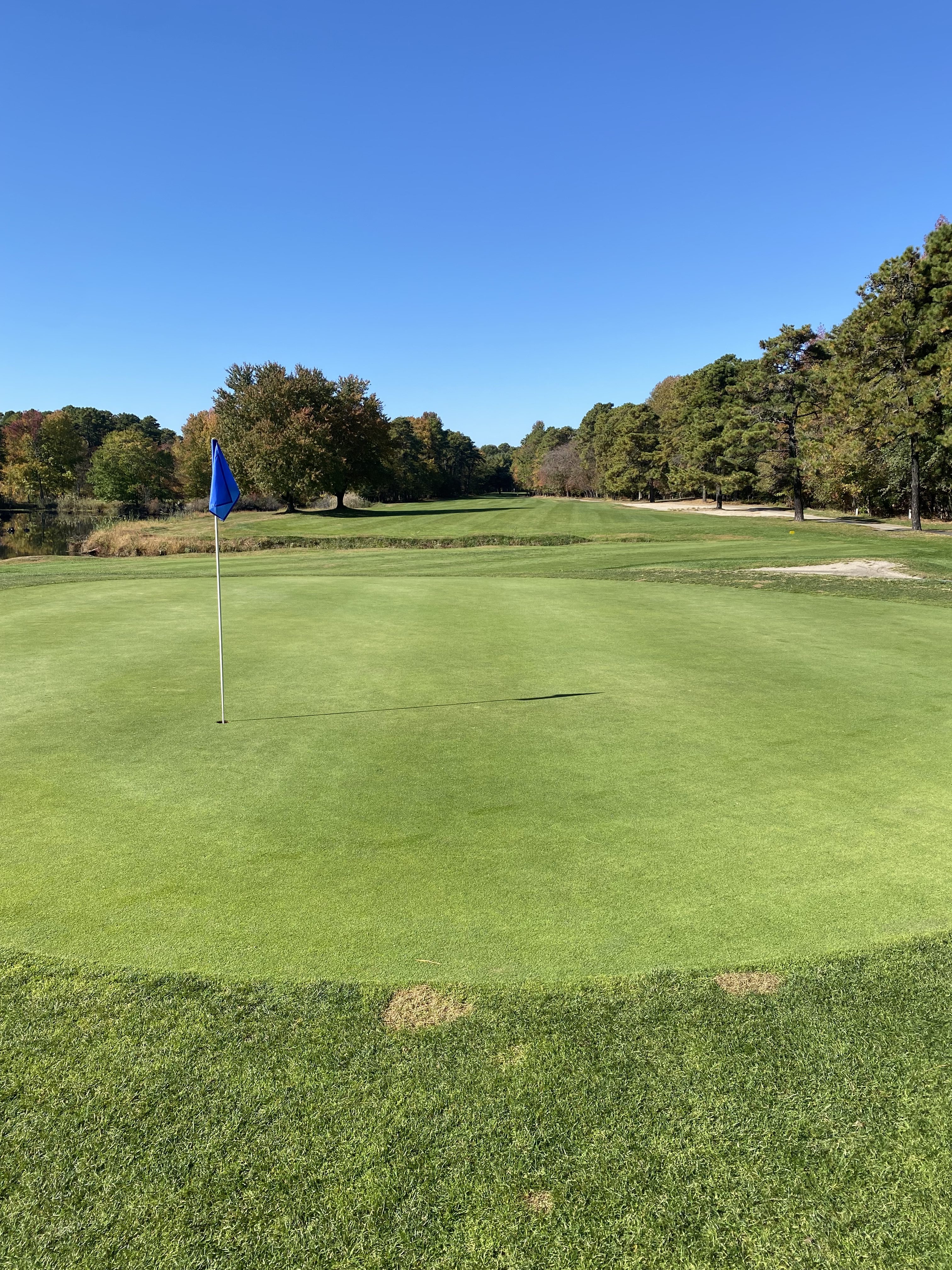Golf course hole with blue flag over hole